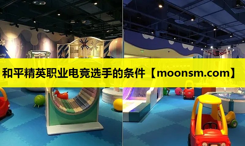 和平精英职业电竞选手的条件