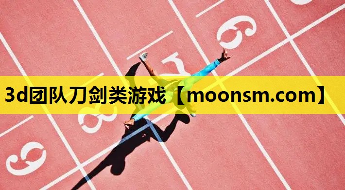 3d团队刀剑类游戏