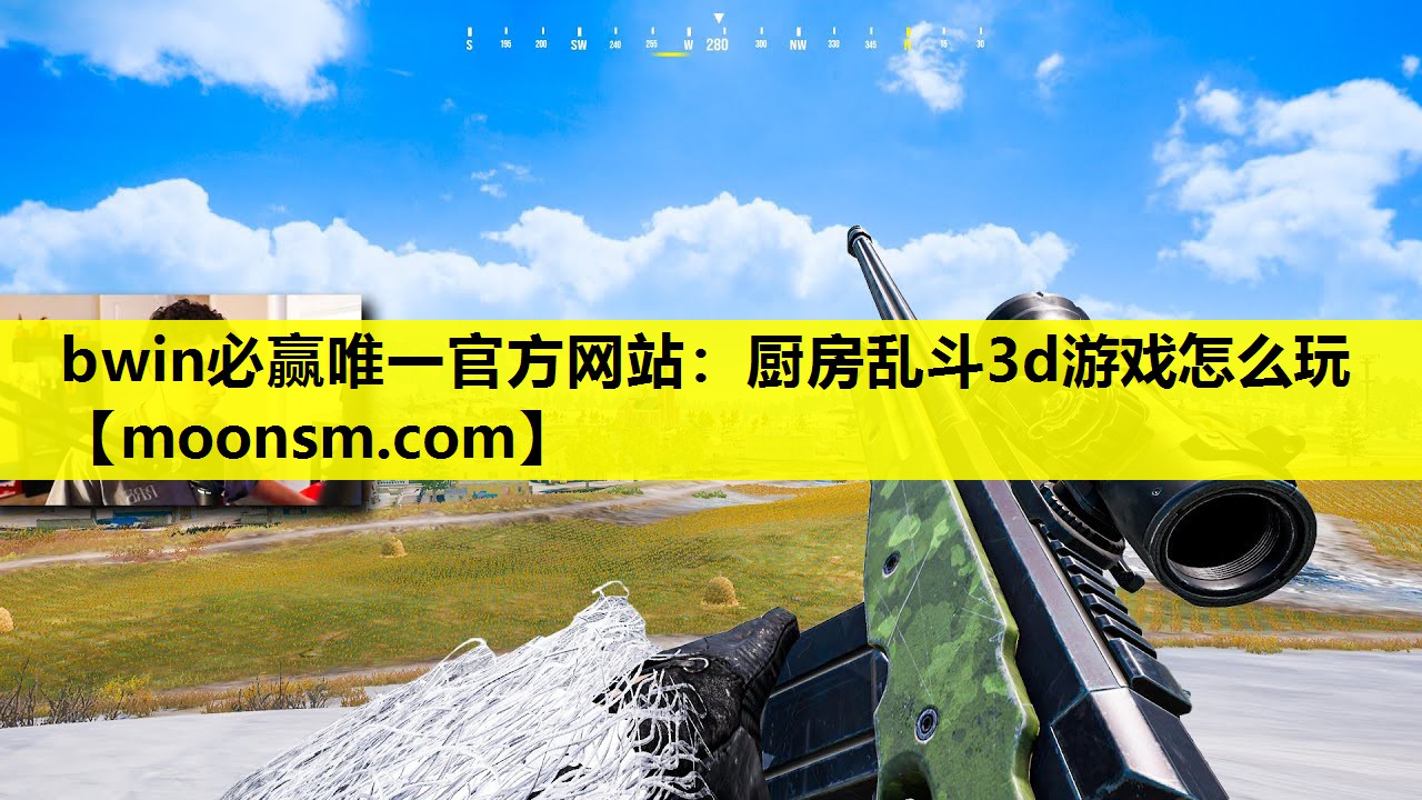 厨房乱斗3d游戏怎么玩